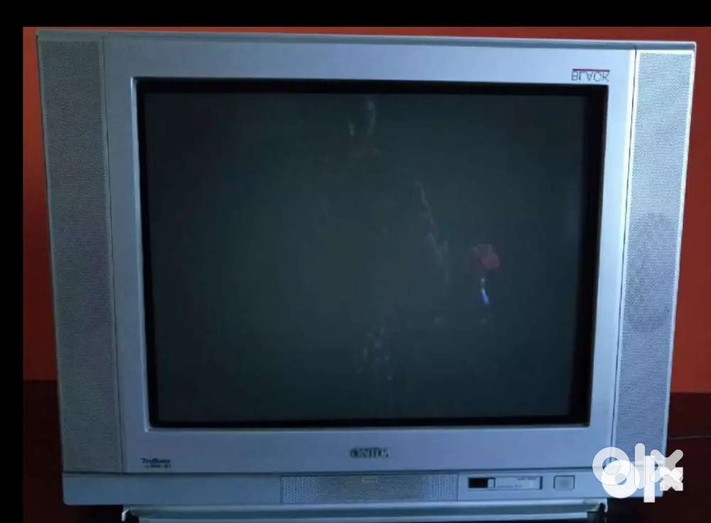 Tarbos onlida TV