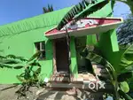 Rental house