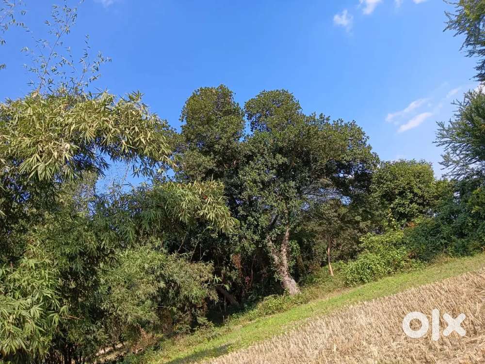 Agricultural Land Nearby Main Road