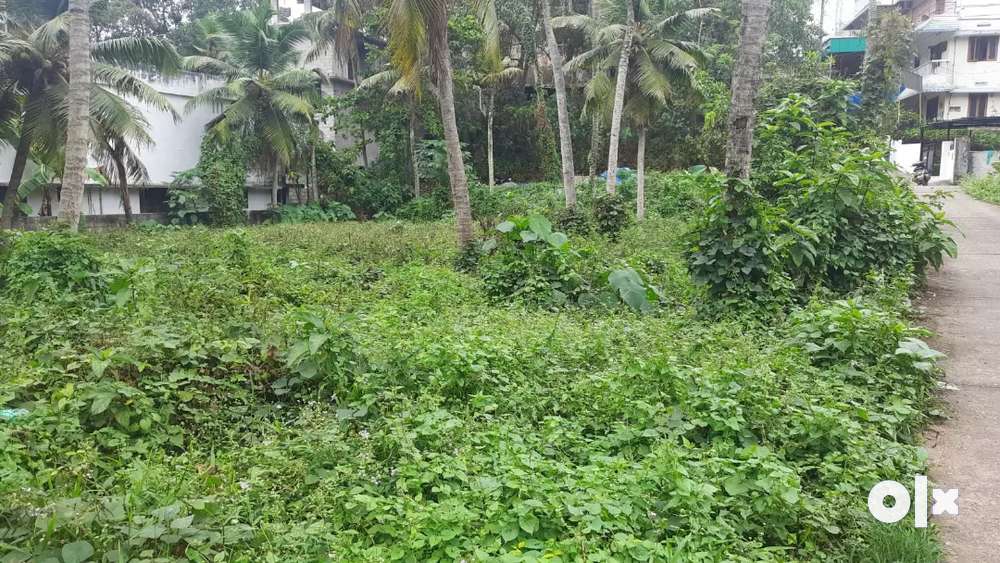14.5 cents Plot for Sale in Nedumangad Town 200 mtr from Our College