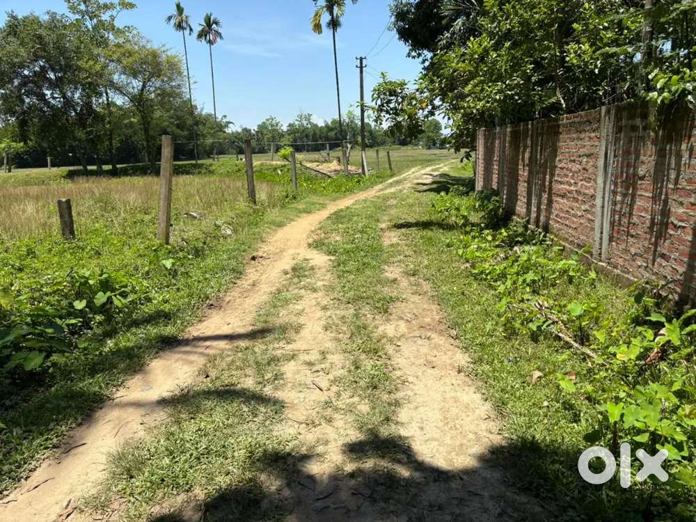 I want to sell my land at sonapur