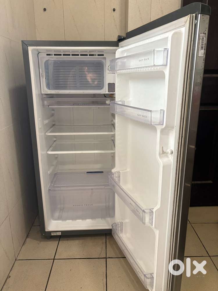 Single Door Refrigerator  Excellent Condition  Energy Efficient