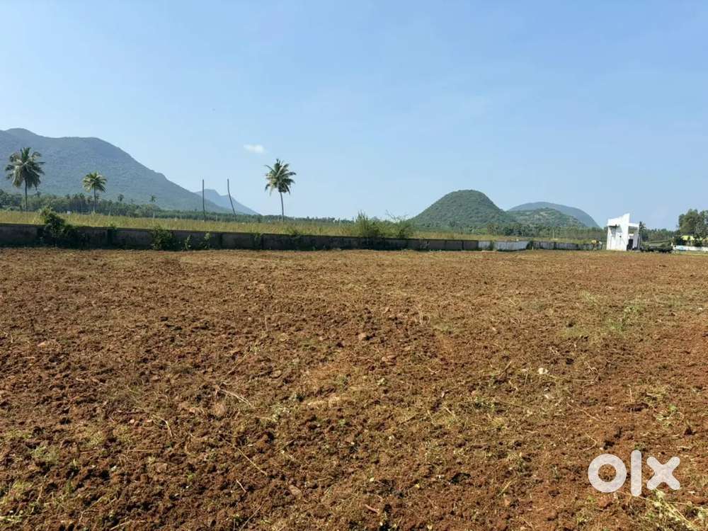 Commercial Plots Available @Pinagadi