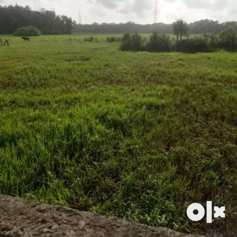 60 accre Land (paramb) for sale at palakkad thrissur highway front age