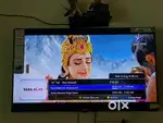 Lloyd 42 inch smart android led