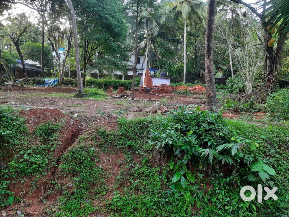 Thondayad 16 Cent House Plot