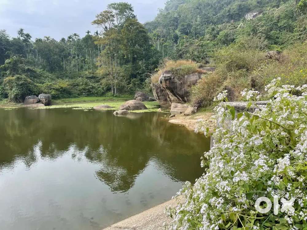 Best Plot for Airbnb or Homestay — Near Edakkal Caves, Wayanad!