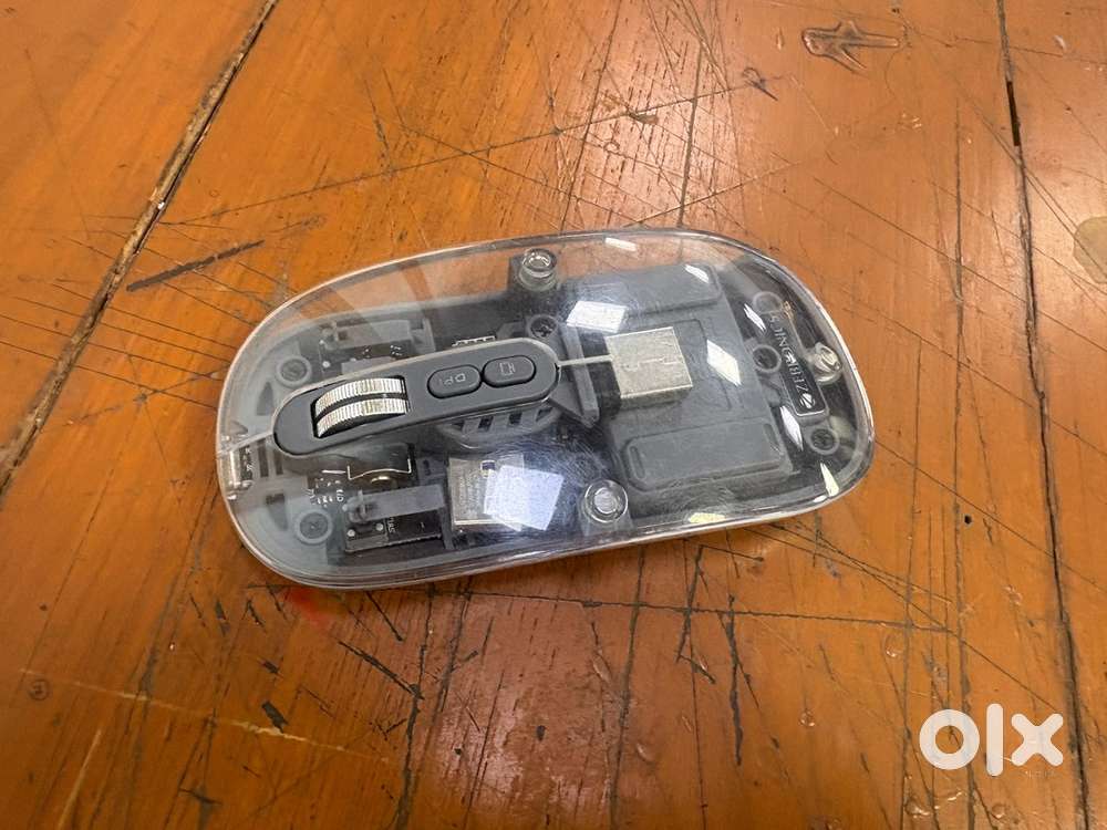 Transparent mouse