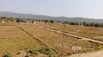 Per katha plot for sale