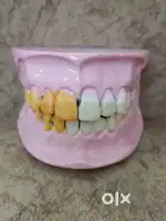 Urgent Hiring Dental Assistant  Phase 1 Mohali