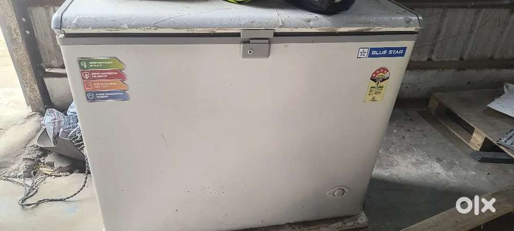 Blue Star

215 L Single Door Standard Deep Freezer