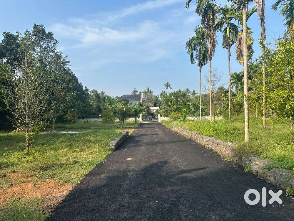 8, 10 cent Premium house plot near Karukutty Forane Church