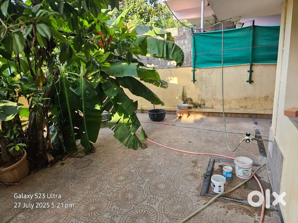 House for rent