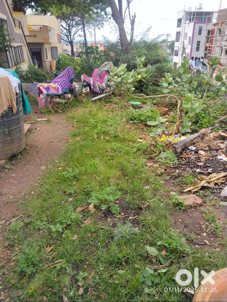 Near to international ground