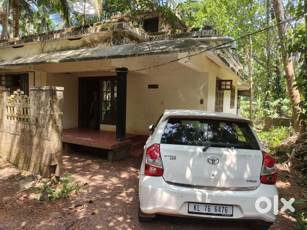 Calicut Rent House  - Kozhikode