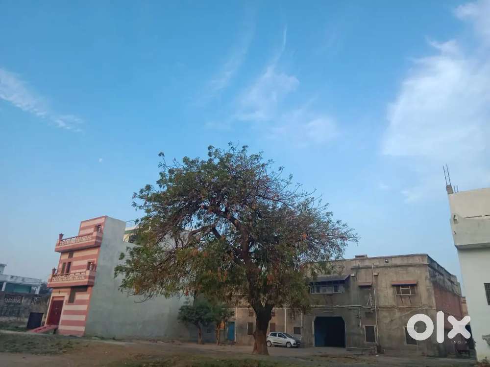 To let one hall without kitchen per person