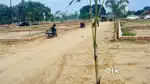 Harhua me plot book kare rameshwer road par turant kabja registry