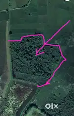 Fesari plot Telikola Goan