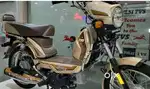 New lena hai