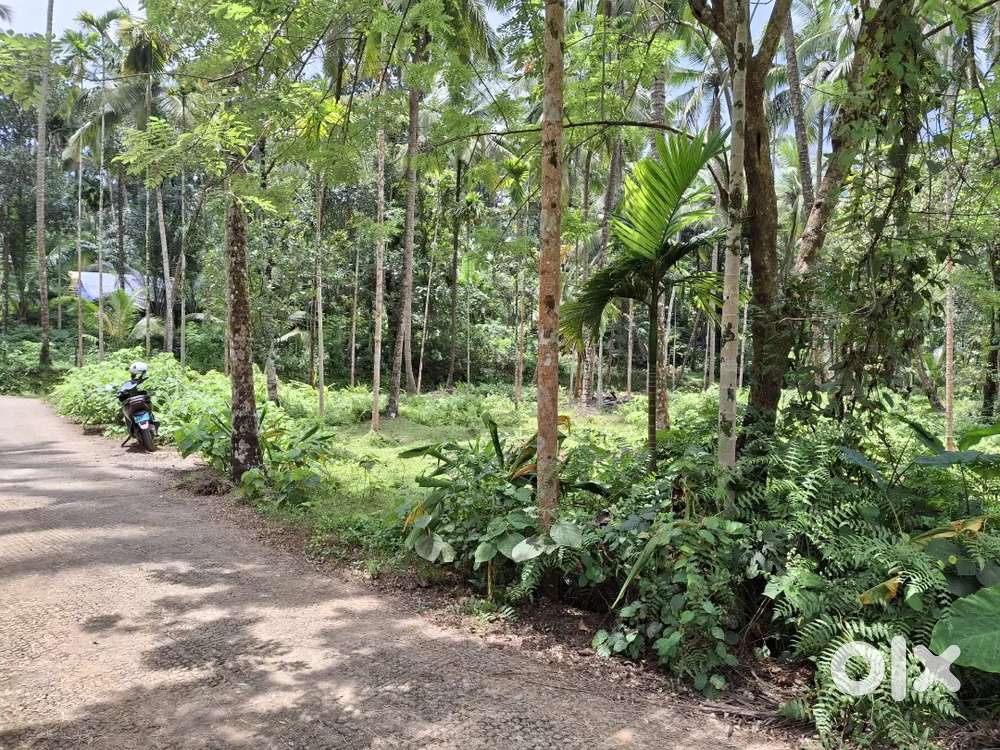 9 cent house plot kootalida