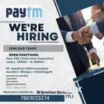 Paytm: India's Leading Digital Payment Platform.