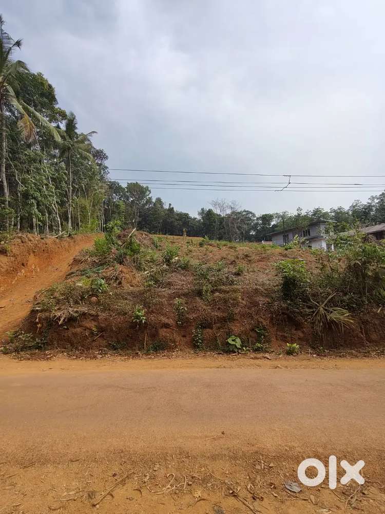 55 cent plot for sale