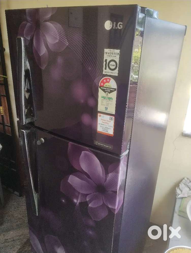 LG smart inverter fridge
