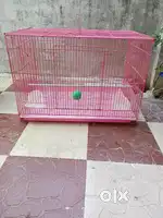 Bird Cage huge size