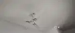 Crompton Ceiling fan 1200 mm