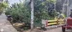52 cents coconut plantation for sale in sompalle
