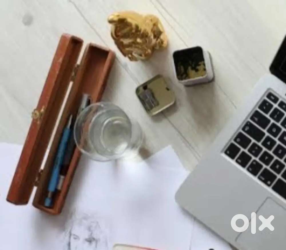 Need a graphic designer freelancer