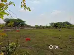 Luxury Plots for  your Own Villa Construction : Vizianagaram ORR