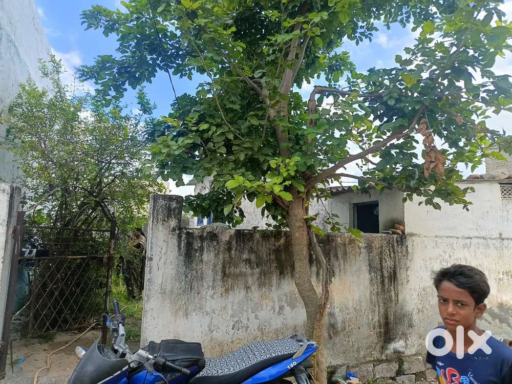 Plot for sale in Kaisar nagar