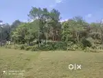 1.2-Acre Scenic Plot in Vadakkanad Waynad with Forest & Paddy Views