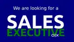 Wanted Sales Executive For Metalware Industry in Shimoga Urgent