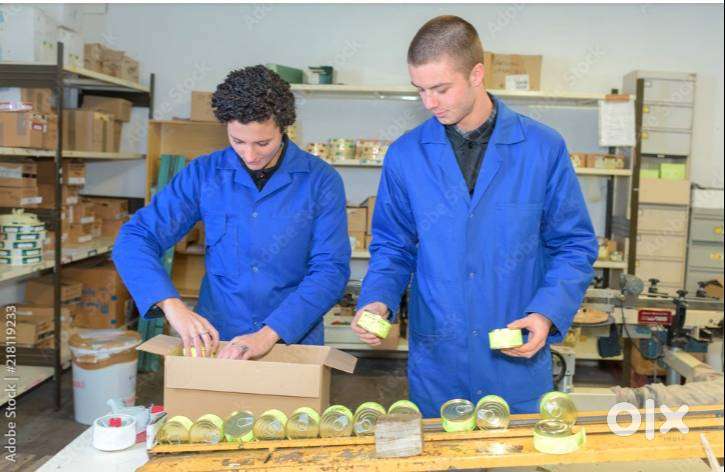 60कैंडिडेट की आवश्यकता है अंदर काम करने वाले