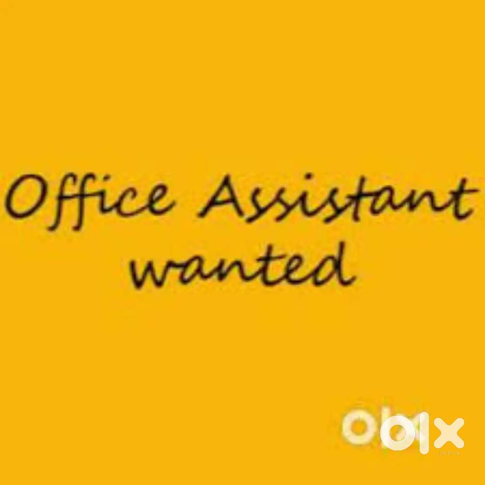 Wanted office assistant