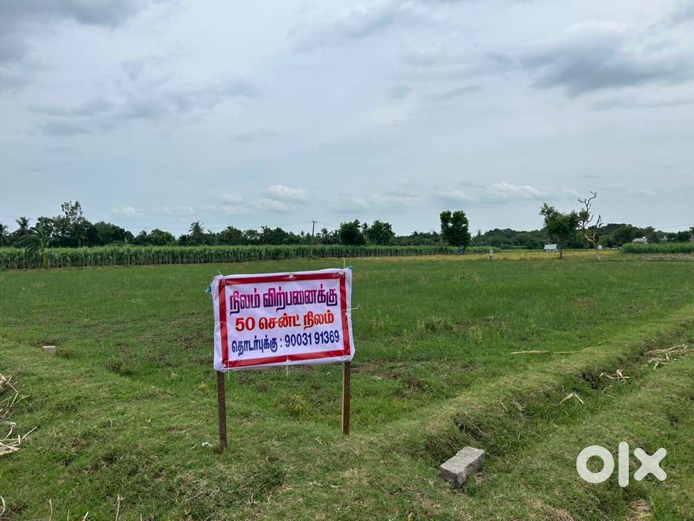 50cent land in Velakudi village