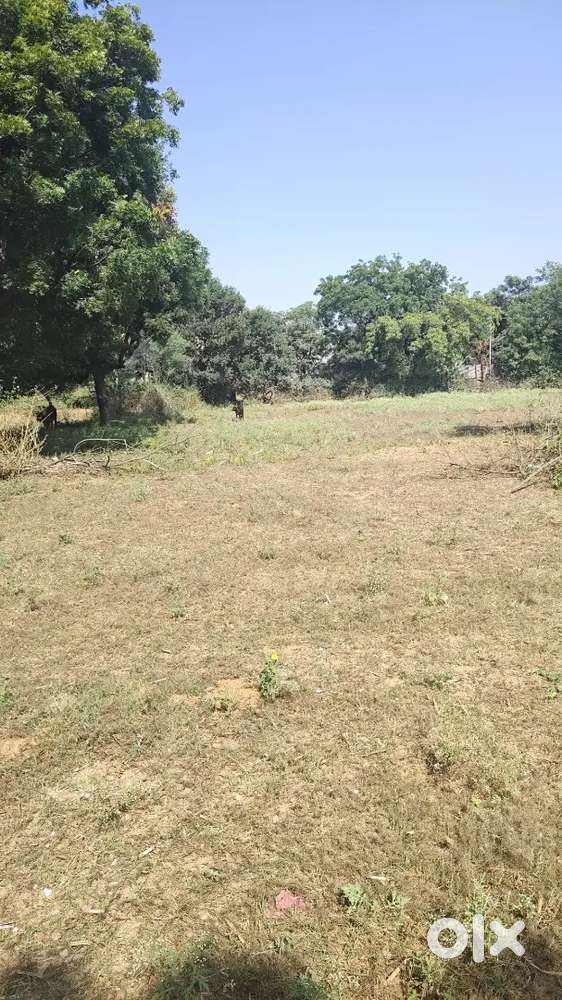 1000 Gaj land just for ₹9,000