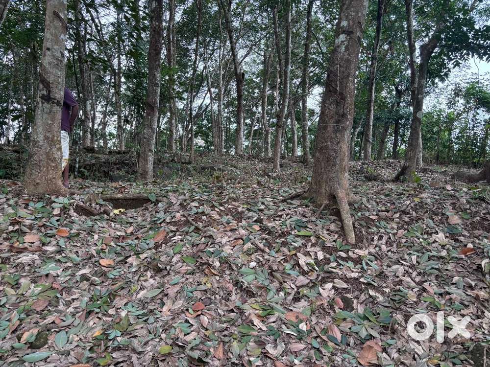 30 cents plot available for sale near Konni