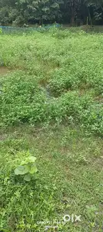 3 kata land sell, panchanan tala, nikarighata