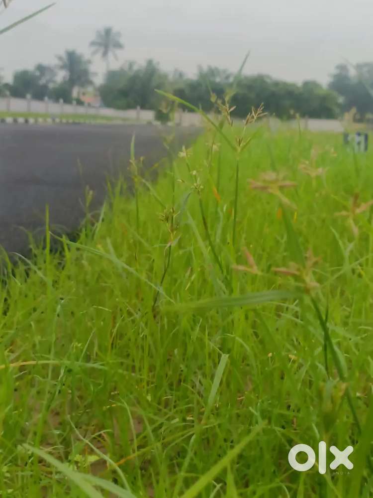 Thiruninravur Railway station Just 10 Minutes nearby Schools Colleges