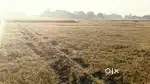 जमीन SC का है ग्राम बर्जी पोस्ट पिंडरा थाना फूलपुर जिला वाराणसी