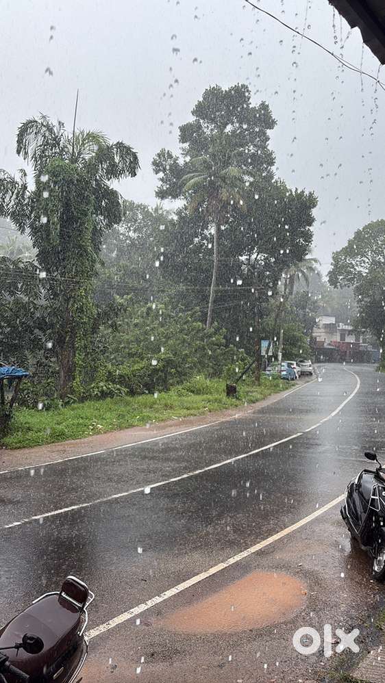 പേരുർക്കടയിൽ 16Cent സ്ഥലം വിൽപ്പനയ്ക്ക്.