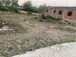Plot /100 gaj