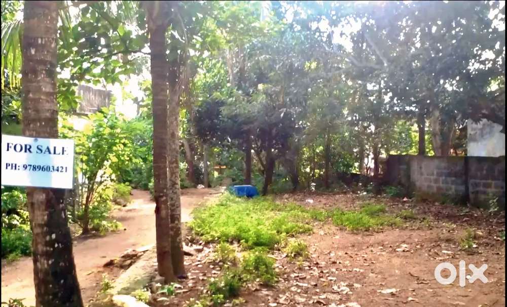 9 cent land kulithurai court near