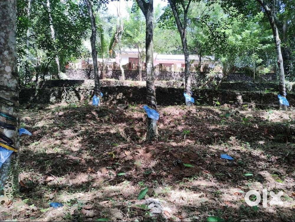 10 സെന്റ് മുതൽ പ്ലോട്ടുകൾ – മുണ്ടക്കയം ടൗണിൽ നിന്ന് 1 കിലോമീറ്റർ