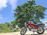 Fully modified with Yamaha rx 100 genuine parts fully new condition