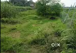 SMS college Ke Piche 1360 e.f.