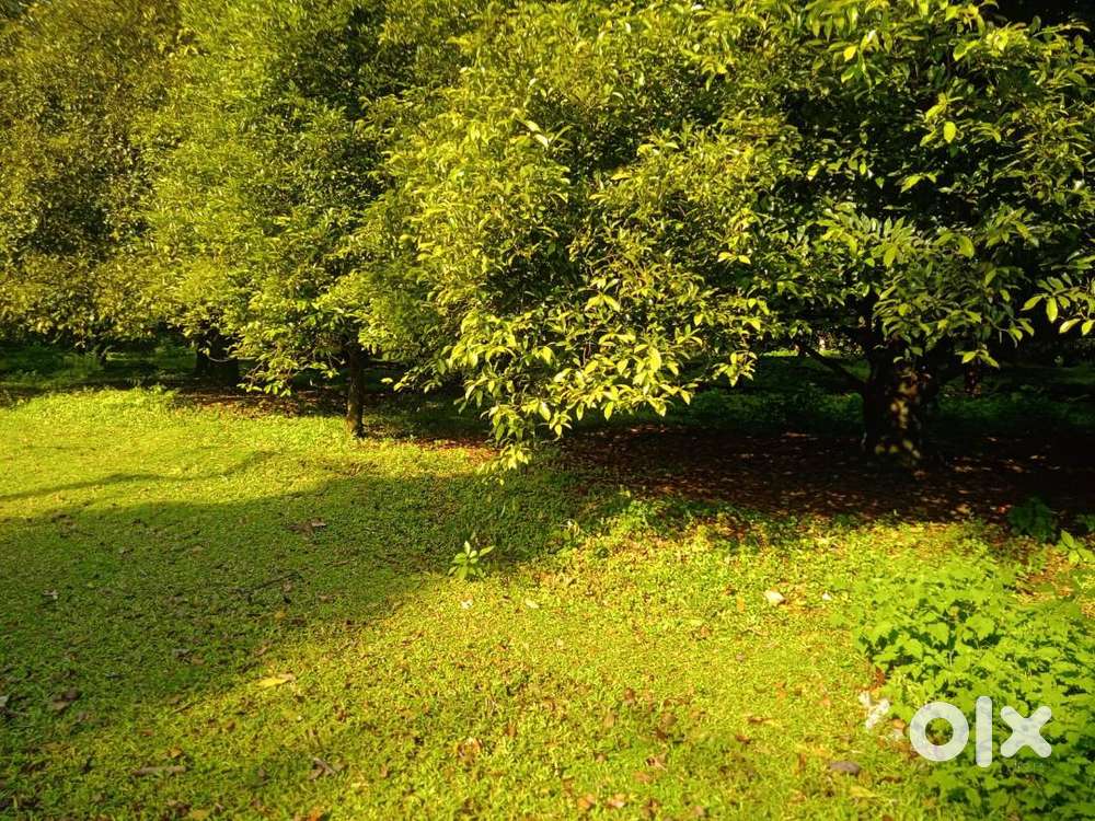 102 acre 19km from international airport